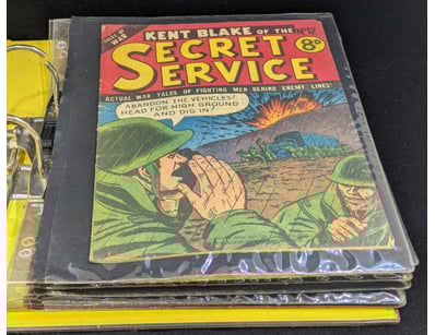 The Curio Collection (A983) - Lot 807