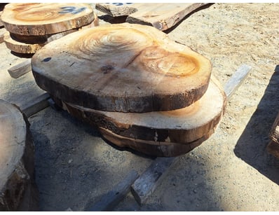 Hardwood Timber Slabs (ON4481) - Lot 34