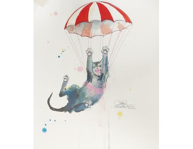 4X CAT PICTURE BY LORA

488526+189

