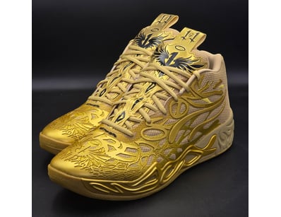 Designer Vault (A1001) - Lot 102