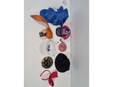 Sport, Leisure & Lifestyle (VICA984) - Lot 35