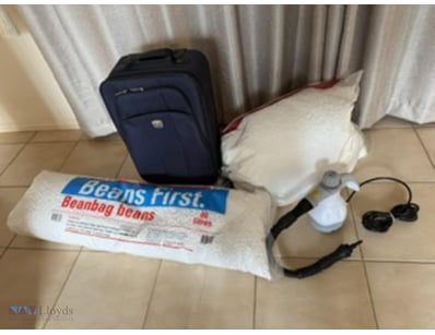 Assorted Items, Suit Case, Cleaning Steamer 240V, ...