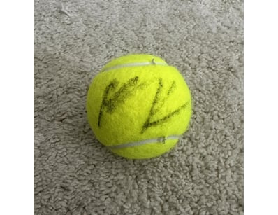 Mancave & Memorabilia (A990) - Lot 7058