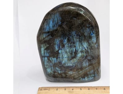 The Curio Collection (A999) - Lot 556