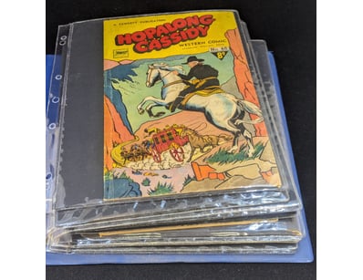 The Curio Collection (A983) - Lot 801