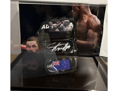 Prestigious Memorabilia (A980) - Lot 800