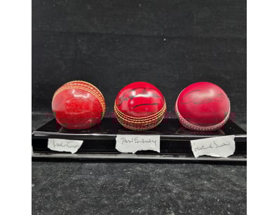 SINGLE VENDOR LIFETIME COLLECTION (A1001) - Lot 876