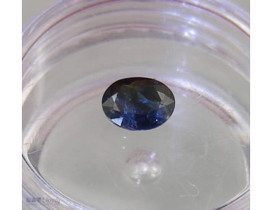 .73CT NATURAL NSW SAPPHIRE        

Condition: Goo...