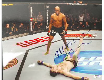 Mancave & Memorabilia (A1007) - Lot 198