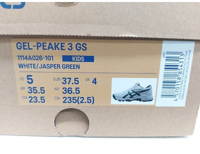 ASICS Gel-Peake 3 GS kids' running shoes in white ...