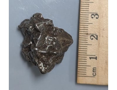 The Curio Collection (A991) - Lot 501