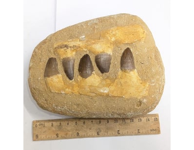 Antiques, Vintage & Interior Treasures (A998) - Lot 1507