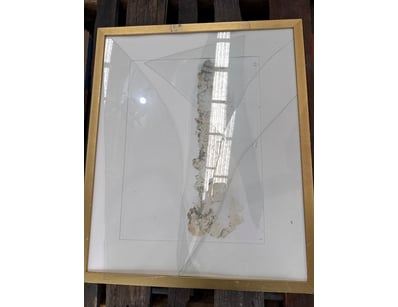 Warehouse Clearance (VICA999) - Lot 3233