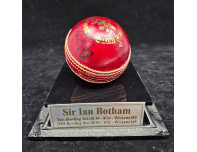 SINGLE VENDOR LIFETIME COLLECTION (A1001) - Lot 910