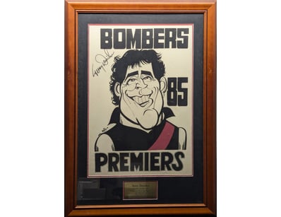 SIGNED TERRY DANIHER 'BOMBERS PREMIERS 85' FRAMED ...