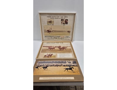 Mancave & Memorabilia (A977) - Lot 782