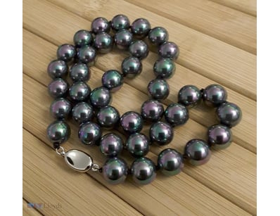 TAHITIAN BLACK RAINBOW 10MM SEA SHELL NECKLACE    ...