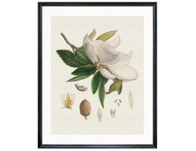 Quality Designer Furniture & Decor Clearance (A... - Lot 635