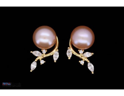 SOUTH SEA PEARL EARRINGS ON 925 SILVER - WITH CERT...