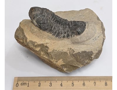 Antiques, Vintage & Interior Treasures (A1006) - Lot 9030