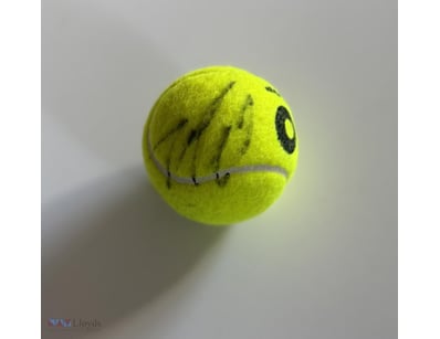 ANDRE AGASSI SIGNED AO TENNIS BALL

A Ao Tennis Ba...