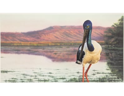 Art Market (A986) - Lot 4116