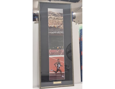 Mancave & Memorabilia (A979) - Lot 625