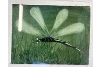 Kym Hart 1963, TITLED" Dragon Fly, Oil on