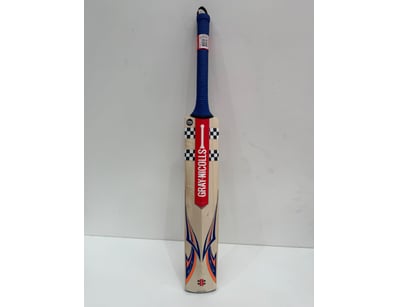 Grays Nicolls cricket bat featuring a natural wood...