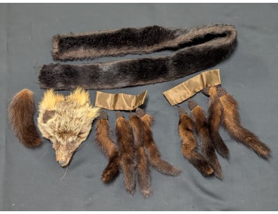 Designer Vault (A1006) - Lot 179