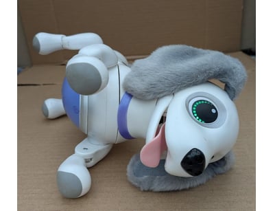 Sport, Leisure & Lifestyle (A999) - Lot 573