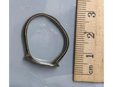 The Curio Collection (A991) - Lot 513