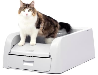 Appliances, Toys & Accessories (VICA986) - Lot 341