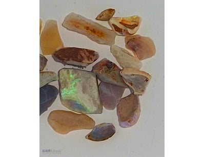 103CT SHELL SKIN ROUGH FROM COOBER PEDY        

 ...