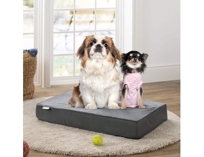 Tech, Toys & Appliances (VICA992) - Lot 2556