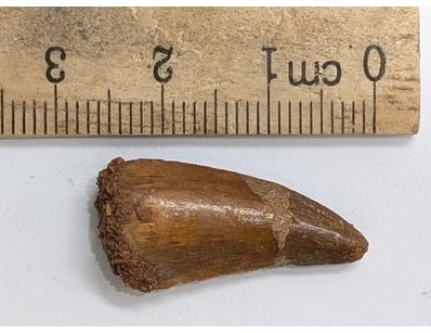 Antiques, Vintage & Interior Treasures (A998) - Lot 1510