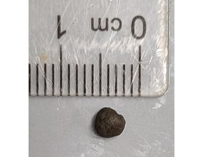 The Curio Collection (A985) - Lot 1130