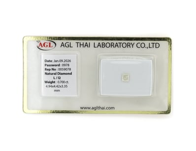 Diamond Clearance (A1004) - Lot 175