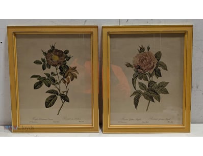 PAIR OF HAND-COLOURED BOTANICAL ENGRAVINGS - ROSES...