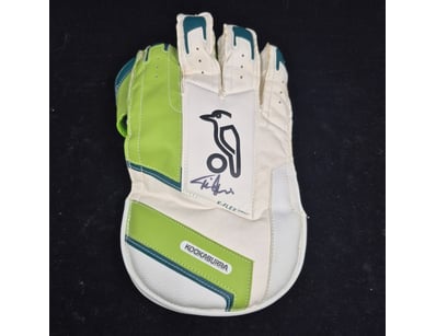 SINGLE VENDOR LIFETIME COLLECTION (A1001) - Lot 751