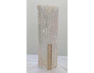 The Curio Collection (A999) - Lot 562