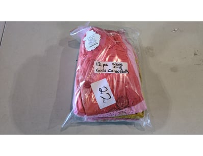 Girls Cargo Pants, Various Sizes Qty 12

Sold as L...