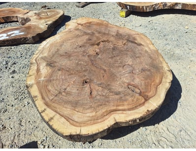 Hardwood Timber Slabs (ON4481) - Lot 24