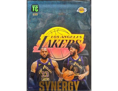 LEBRON JAMES & ANTHONY DAVIS - 2023-24 PANINI NBA ...