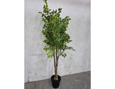 Quality Designer Furniture & Decor Clearance (A... - Lot 620