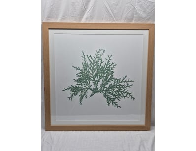 Art Market (A982) - Lot 5005