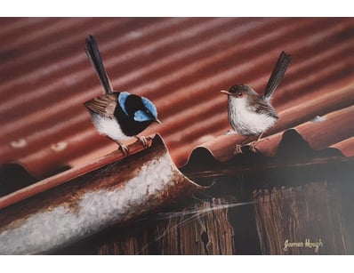 Art Market (A1004) - Lot 384