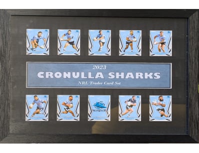 Mancave & Memorabilia (A1005) - Lot 206