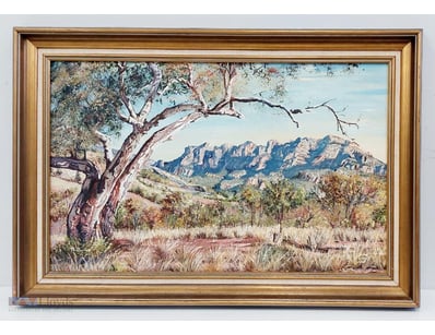 NANCY DUN

Oil On Board

Title: Flinders Ranges - ...