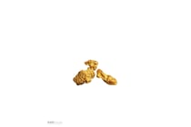 0.960 Grams Of Australian Gold